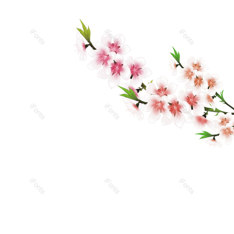 花朵图片,樱花元素,春天PNG,樱花素材免抠素材